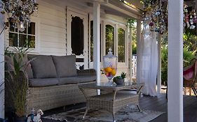 Wisteria Hysteria